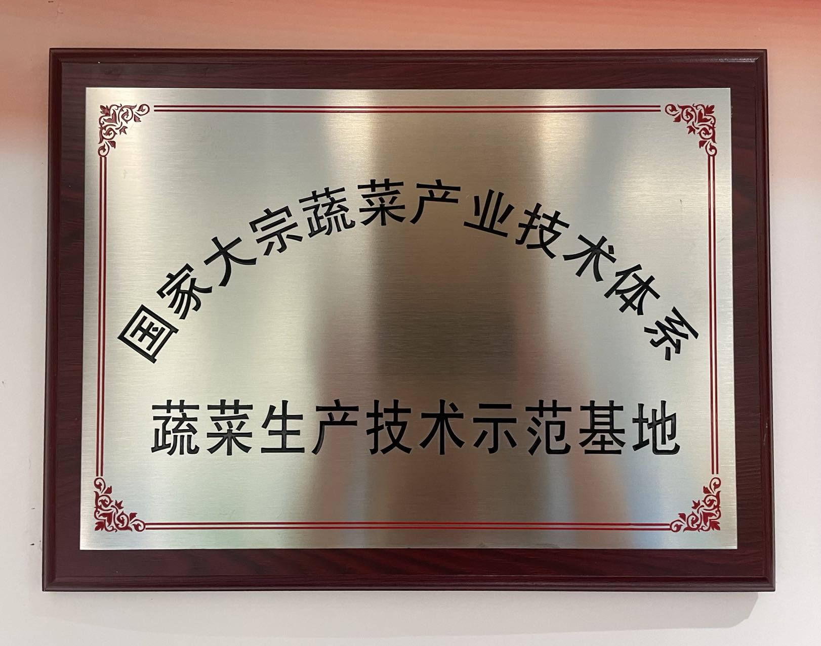 國家大宗蔬菜產業技術體系&mdash;蔬菜生產技術示范基地